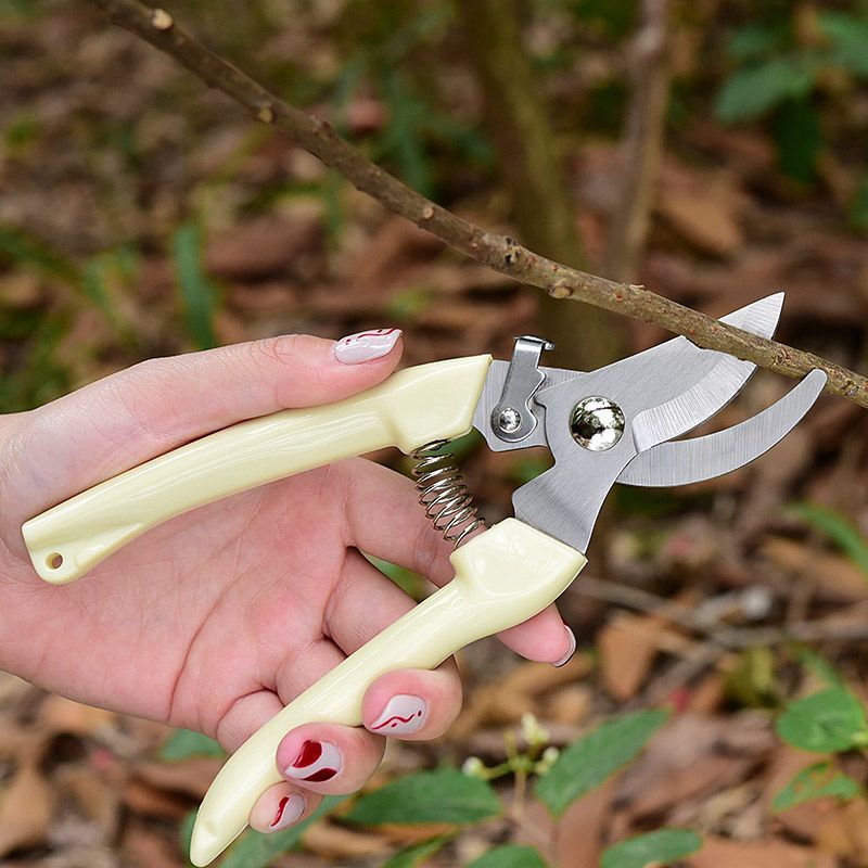 Gardening Tools Scissors - 省力型ガーデン剪定鋏、枝、花茎、果樹の剪定用プロ用ハンドプルーナー、高耐久性