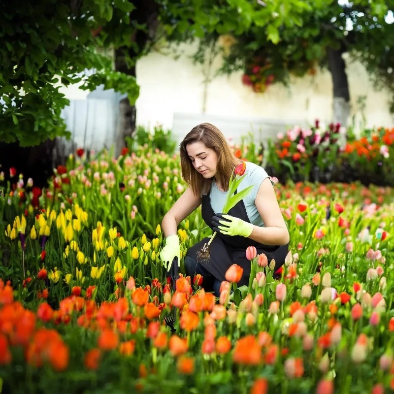 2in1ガーデンレーキ手動種子草根除去ツールプーラーシャベル - Gardening Tools For Weeds のレビューと価格