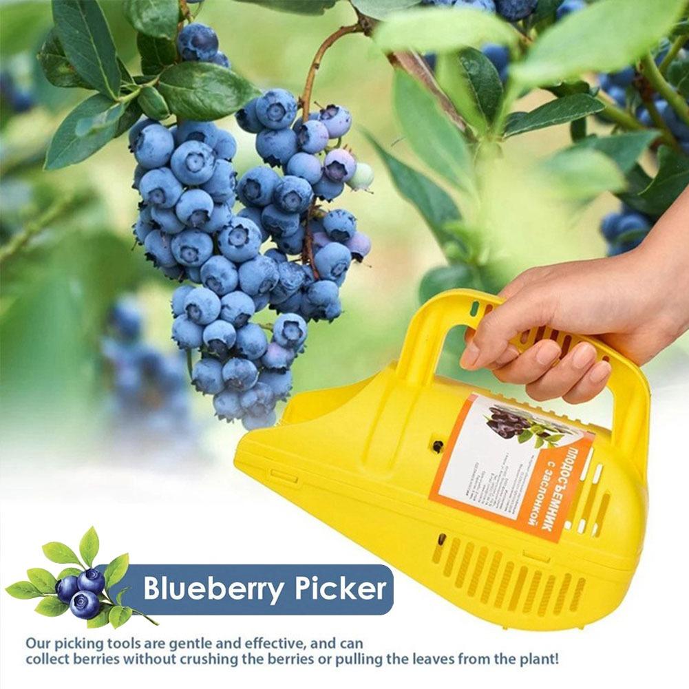 握りやすいブルーベリーピッカーツール、櫛歯付き、携帯用、軽量 - Gardening Tools Must Haves のレビューと価格