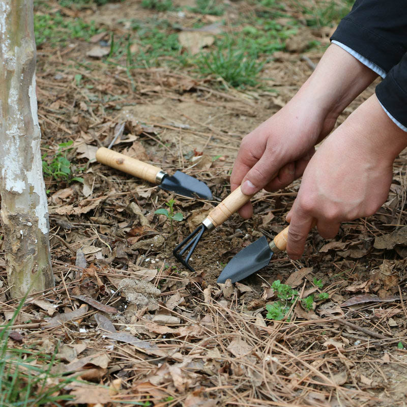 3 ピース/セットミニガーデンツールセット庭の植物フラワーポ - Gardening Tools For Weeds のレビューと価格