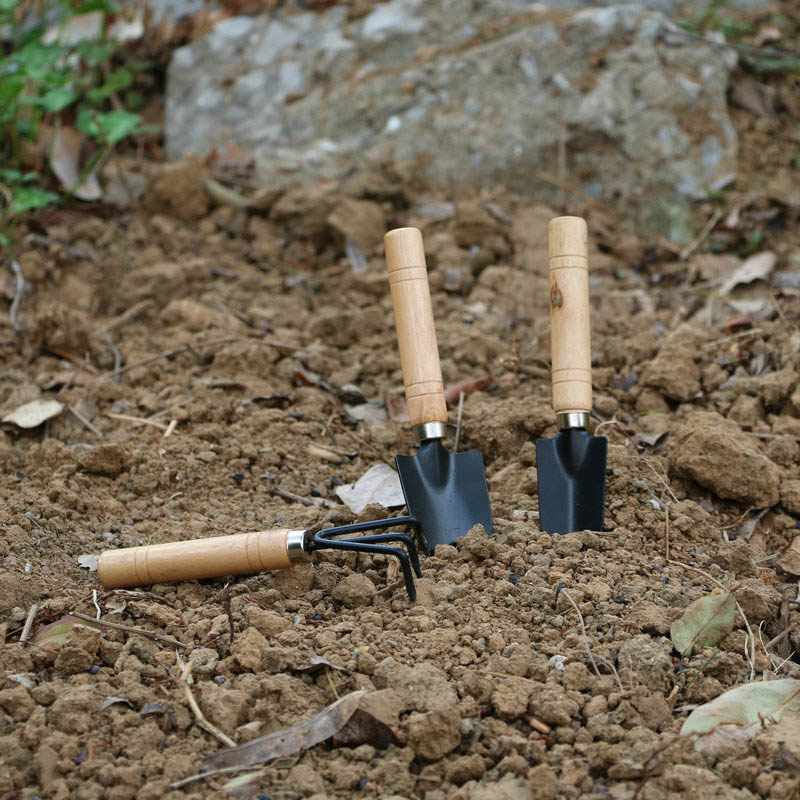 3 ピース/セットミニガーデンツールセット庭の植物フラワーポ - Gardening Tools For Weeds のレビューと価格