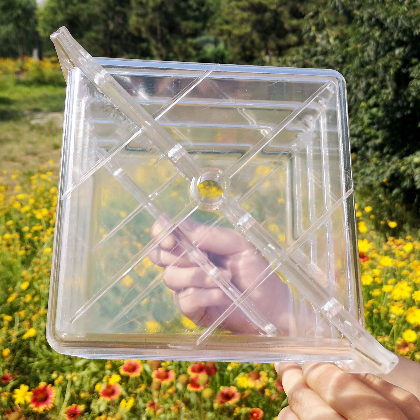 正方形のスイカ成長型枠ユニークで実用的な庭の形成整形ツール形 - Gardening Tools Unique のレビューと価格