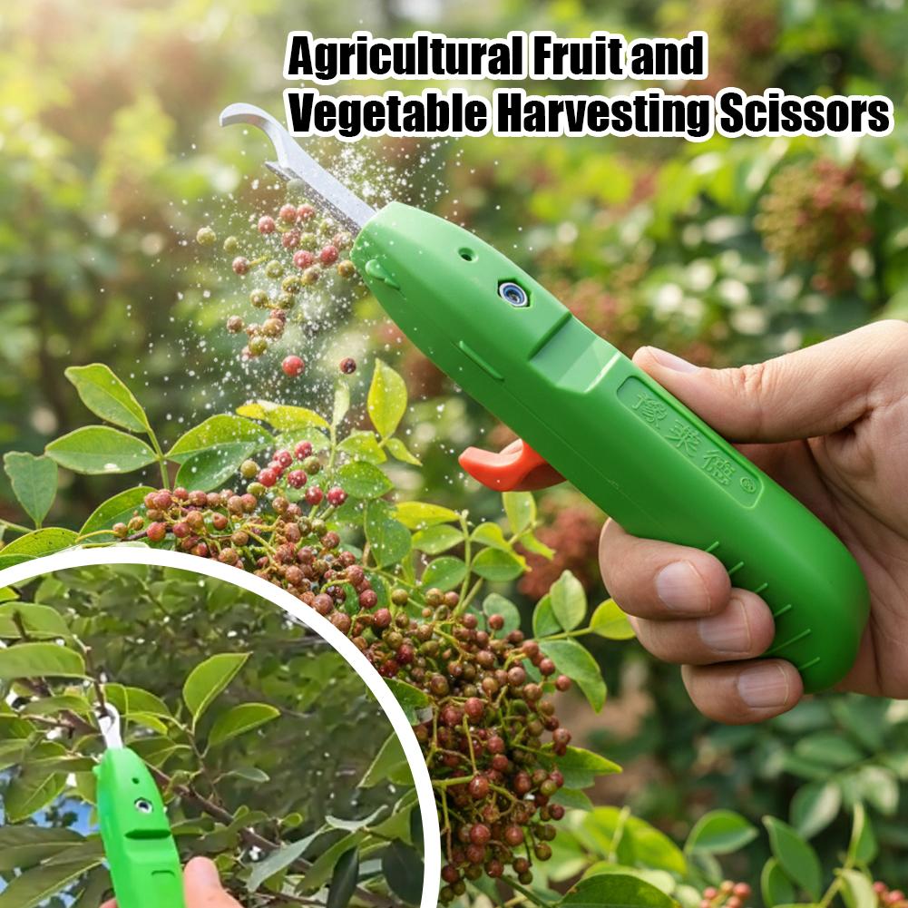 果物と野菜の収穫用剪定鋏、庭用剪定ばさみ、曲刃収穫ツール、ブ - Gardening Tools Scissors のレビューと価格