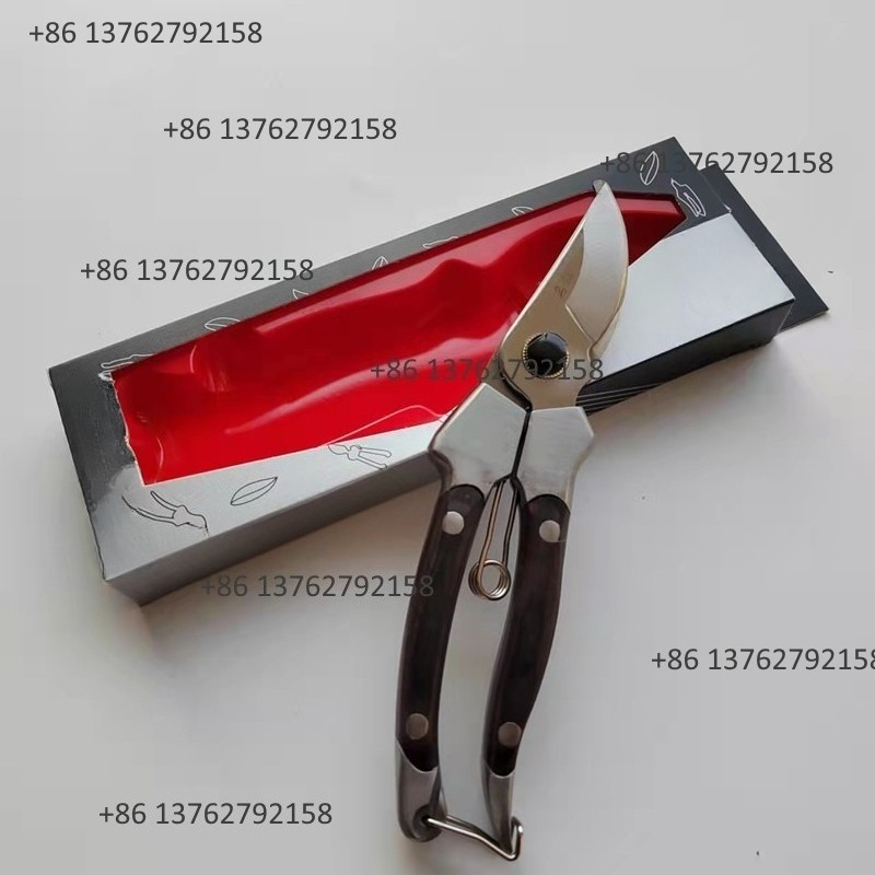 多目的剪定ばさみ 果樹・花の枝切り器 ポータブル盆栽ツリー  - Gardening Tools Scissors のレビューと価格