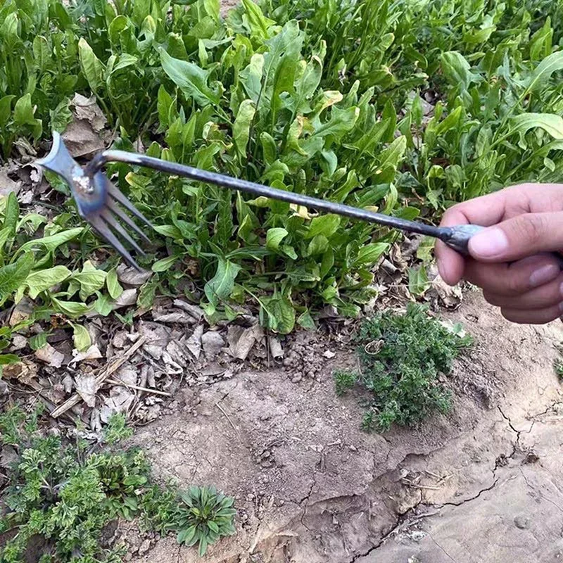 庭用除草機、マンガン鋼製手動除草機、根のない土壌をほぐす手動 - Gardening Tools For Weeds のレビューと価格