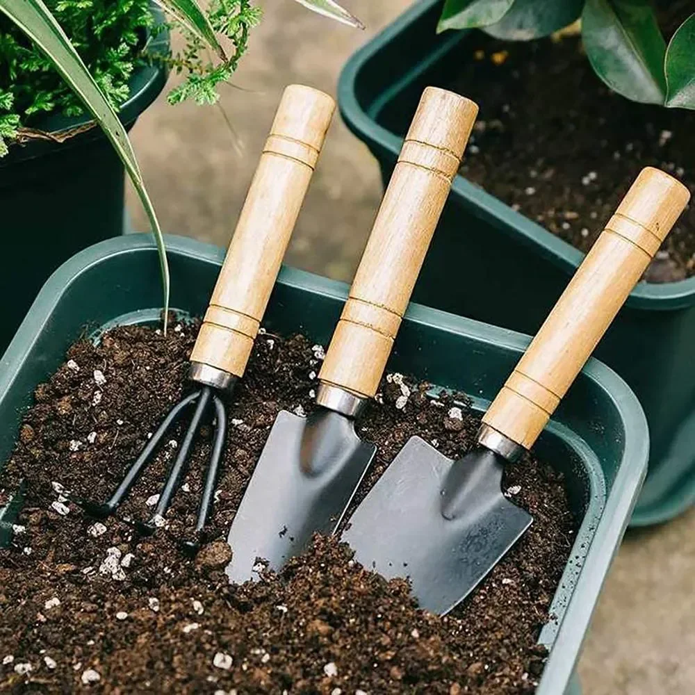 3 ピース/セットミニガーデンツールセット小型屋内植物ケア掘 - Gardening Tools For Weeds のレビューと価格