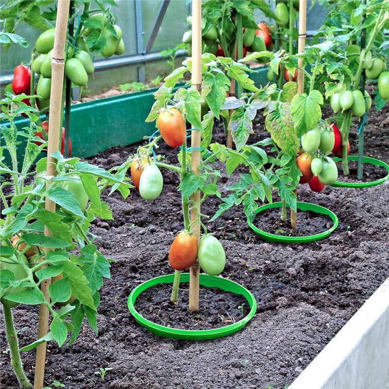 LIKE WISH 永久植物成長リング 4個入り 植物保護リ - Gardening Tools For Weeds のレビューと価格