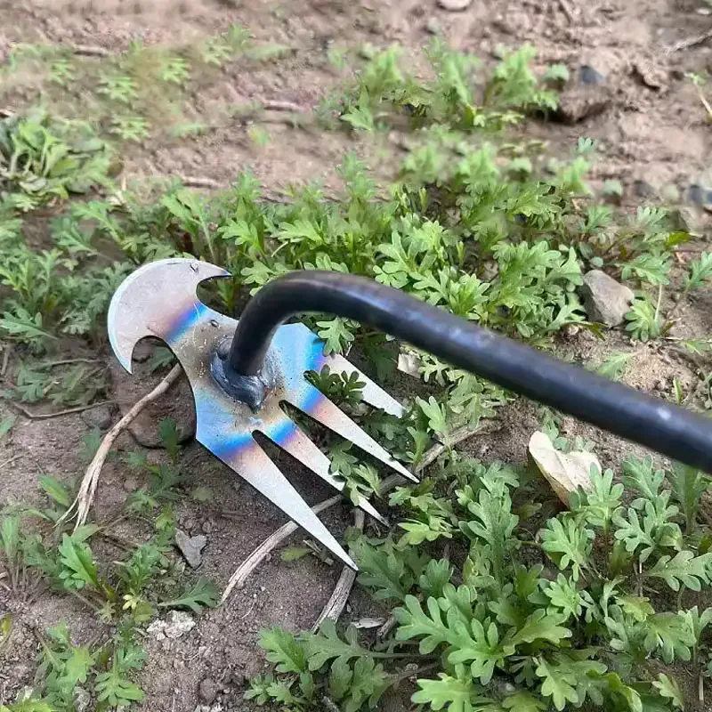 マンガン鋼製ガーデン除草機、草の根をほぐし、土を緩める手動除 - Gardening Tools For Weeds のレビューと価格