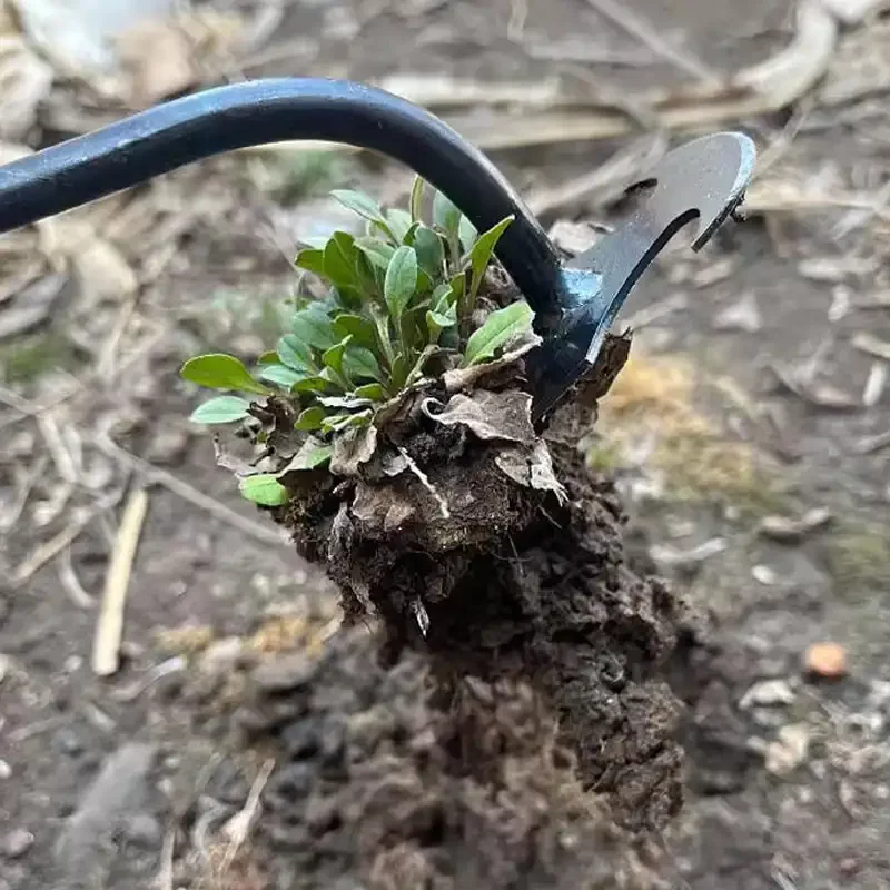 マンガン鋼製ガーデン除草機、草の根をほぐし、土を緩める手動除 - Gardening Tools For Weeds のレビューと価格