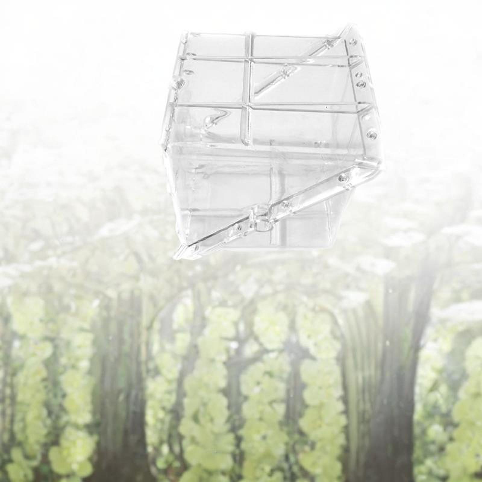 正方形のスイカ成長型成形器具、使いやすい、高張力、ユニークで - Gardening Tools Unique のレビューと価格
