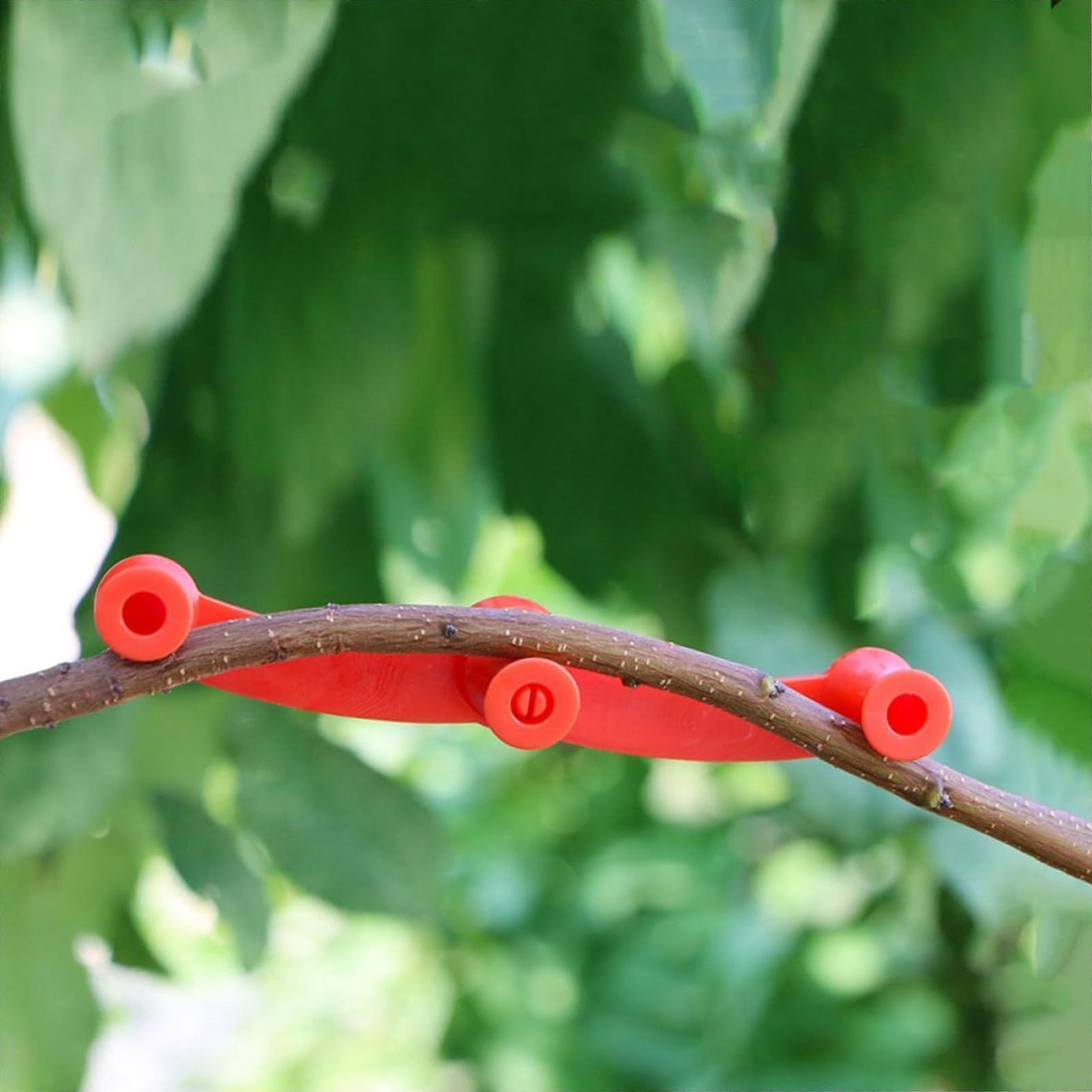 10個入り 植物トレーニングクリップ 樹木の枝プラー 低スト - Gardening Tools Lowes のレビューと価格
