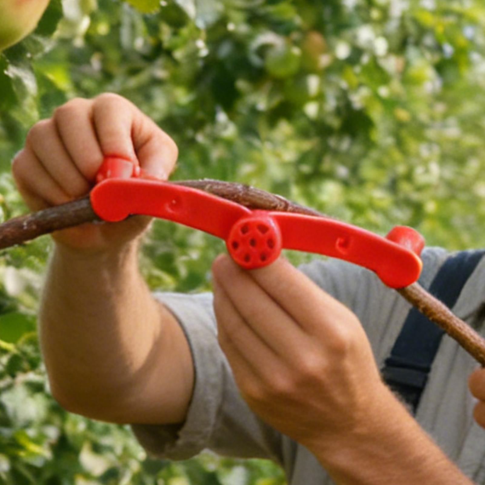 10個入り 植物トレーニングクリップ 樹木の枝プラー 低スト - Gardening Tools Lowes のレビューと価格